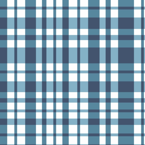 blue plaid pattern by Ester Muxune